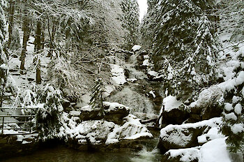 Sehenswürdigkeiten im Lamer Winkel